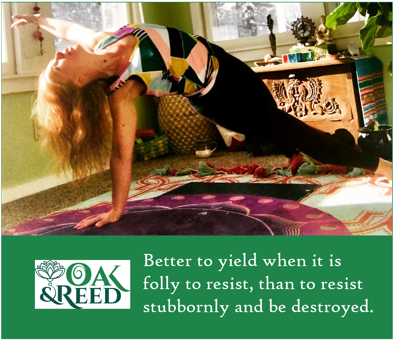 oak and reed yoga